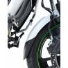 Extension garde-boue avant Kawasaki ZX10R / RG RACING FERG0173BK