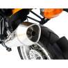 Silencieux homologué BMW R850-1150GS, R1150R - Zard ZBMW514SSR-S