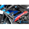 Pièce de carénage latérale gauche pour BMW M1000R - Ilmberger Carbone