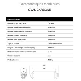 Silencieux Carbone MIVV H.013.L3C / Honda CBR600F 2001-2010