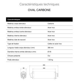 Double Silencieux carbone MIVV H.015.L3 / Honda CB900F Hornet 2002-2006