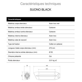 Double silencieux homologué Suono MIVV AT.012.L9 / Triumph Speed Triple 1050 2011-2015