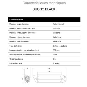 Silencieux homologué inox noir Suono MIVV B.005.L9 / BMW R1200R 2008-2010