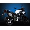 Silencieux homologué BMW F800GS 2024+ / Remus 82682 086024