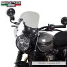 Bulle Touring Biondi pour Kawasaki Z650RS / Triumph (16+) - BD18010454