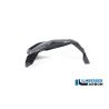 Cache gauche de bougie Ilmberger Carbone pour BMW R1300GS