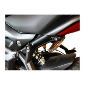 Support de plaque latéral Triumph Trident 660