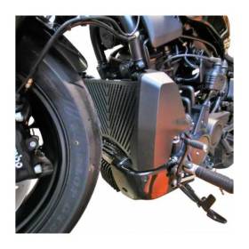 Grille de protection pour radiateur Harley-Davidson Sportster S 1250