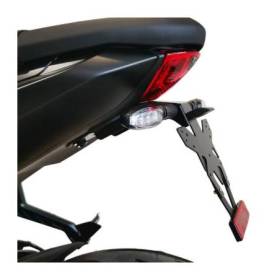 Support de plaque Triumph Daytona 660 - Access Design