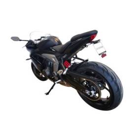 Support de plaque Triumph Daytona 660 - Access Design