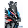 Partie supérieur de carénage droit Ilmberger Carbon pour BMW S1000XR / M1000XR