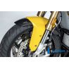 Garde boue avant Ilmberger Carbon pour BMW S1000XR / M1000XR