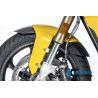 Garde boue avant Ilmberger Carbon pour BMW S1000XR / M1000XR