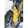 Garde boue avant Ilmberger Carbon pour BMW S1000XR / M1000XR