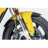 Garde boue avant Ilmberger Carbon pour BMW S1000XR / M1000XR