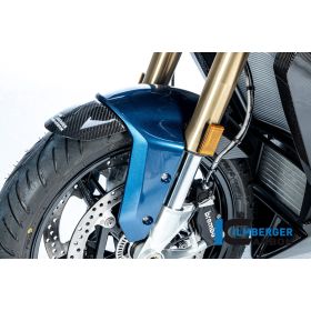 Garde boue avant Ilmberger Carbon pour BMW S1000XR / M1000XR