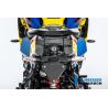 Support de plaque Ilmberger Carbon pour BMW S1000XR (20-)