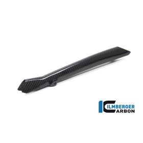 Couvercle conduite de frein BMW R1250 GS - Ilmberger Carbon