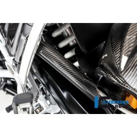 Couvercle conduite de frein BMW R1250 GS - Ilmberger Carbon