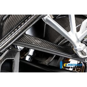 Couvercle conduite de frein BMW R1250 GS - Ilmberger Carbon