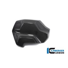 Cache radiateur d'eau droit BMW R1250 GS - Ilmberger Carbon