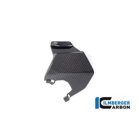 Ailette supérieure gauche Ilmberger Carbon pour BMW M1000XR 2024