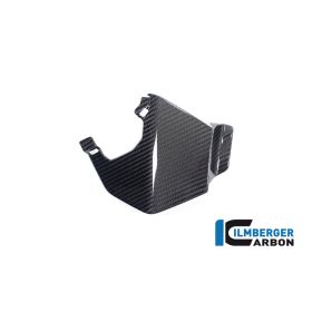 Ailette supérieure gauche Ilmberger Carbon pour BMW M1000XR 2024