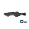 Couvre-cadre arrière droit Ilmberger Carbon pour BMW M1000XR 2024