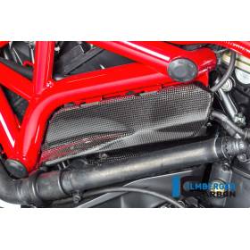 Couvercle sous le cadre côté gauche brillant - Ducati Monster 1200 / S 2017 - Ilmberger Carbon