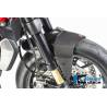 Garde-boue avant brillant - Ducati Monster 1200 / S 2017 - Ilmberger Carbon