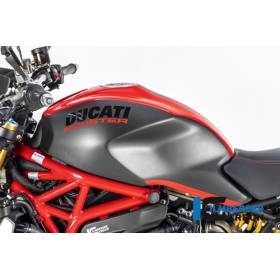 Réservoir brillant - Ducati Monster 1200 / S 2017 - Ilmberger Carbon