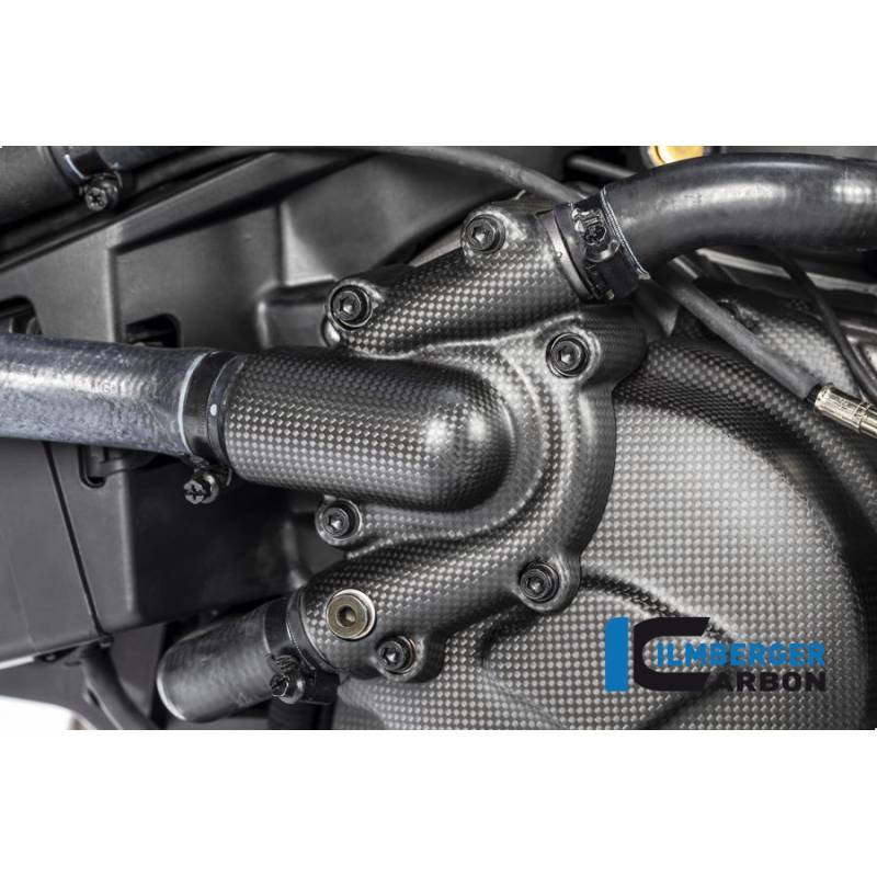 Protection de la pompe à eau mat - Ducati Monster 1200 / S 2017 - Ilmberger Carbon