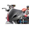 Pare-brise avec support mat - Ducati Monster 1200 / S 2017 - Ilmberger Carbon