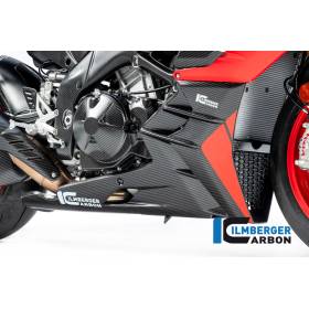 Sabot monobloc mate Aprilia Tuono V4 2021 - Ilmberger Carbon