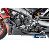 Sabot monobloc mate Aprilia Tuono V4 2021 - Ilmberger Carbon