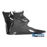 Sabot monobloc mate Aprilia Tuono V4 2021 - Ilmberger Carbon