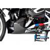 Sabot moteur BMW R1250R 2019 - Ilmberger Carbon