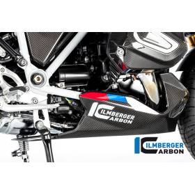 Sabot moteur BMW R1250R 2019 - Ilmberger Carbon