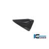 Cache du triangle de cadre côté gauche BMW R1250R 2019 - Ilmberger Carbon