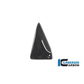 Cache du triangle de cadre côté gauche BMW R1250R 2019 - Ilmberger Carbon