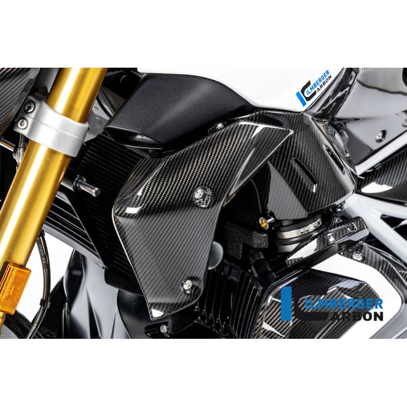 Cache du radiateur d'eau côté gauche BMW R1250R 2019 - Ilmberger Carbon