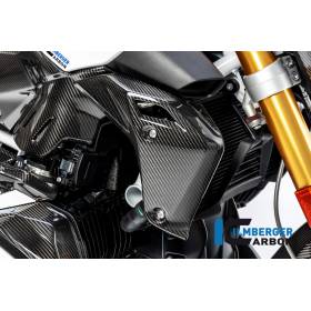 Cache du radiateur d'eau côté droit BMW R1250R 2019 - Ilmberger Carbon