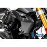 Cache du radiateur d'eau côté droit BMW R1250R 2019 - Ilmberger Carbon