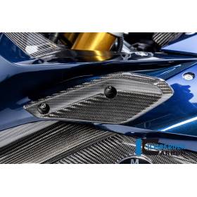 Volet sur le carénage côté gauche - BMW R1250RS 2019 - Ilmberger Carbon