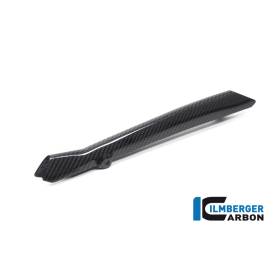 Couvercle de conduite de frein - BMW R1250RS 2019 - Ilmberger Carbon