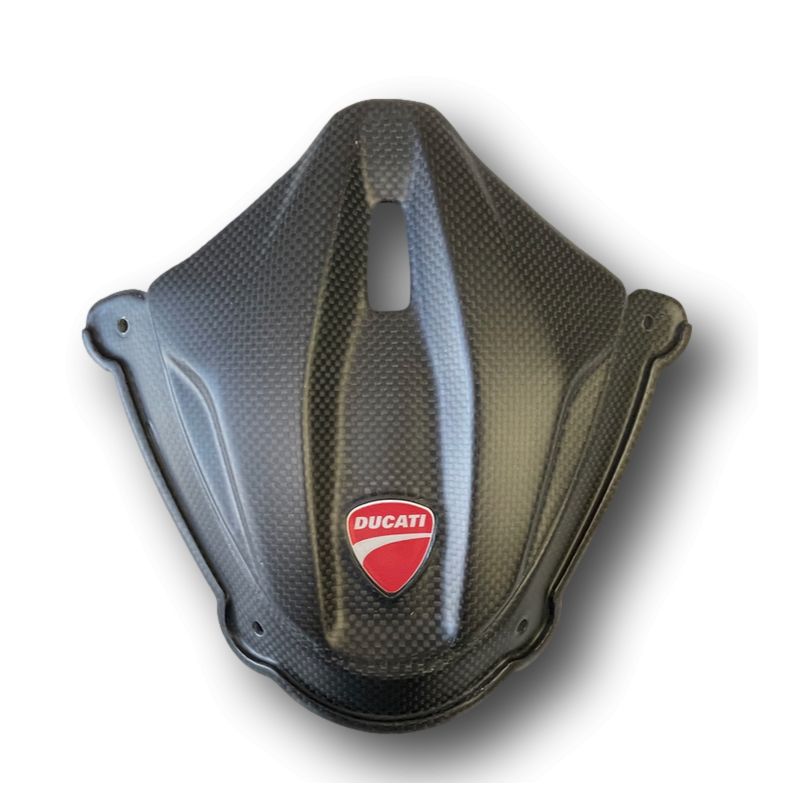 COUVERCLE INSTRUMENTATION CARBONE DUCATI PANIGALE 2025 - CARBONVANI