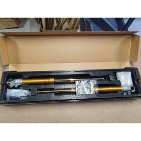 Fourche Avant YAMAHA XJR1300 01-16 / OHLINS FS620