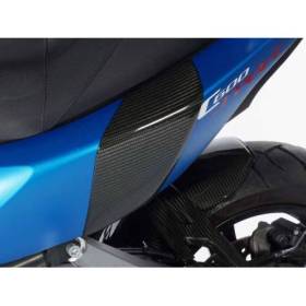 Protection de carénage arrière C 600 Sport carbone